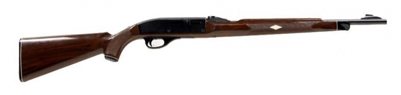 【レミントンナイロン66】(Remington Nylon 66・ ライフル・1959～1989年・.22 LR・装弾数：14)のご紹介