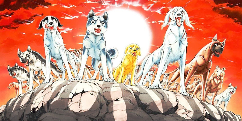 犬/イヌ(動物)を主人公・題材にしたマンガ/漫画(56作品)巻数ランキングのご紹介
