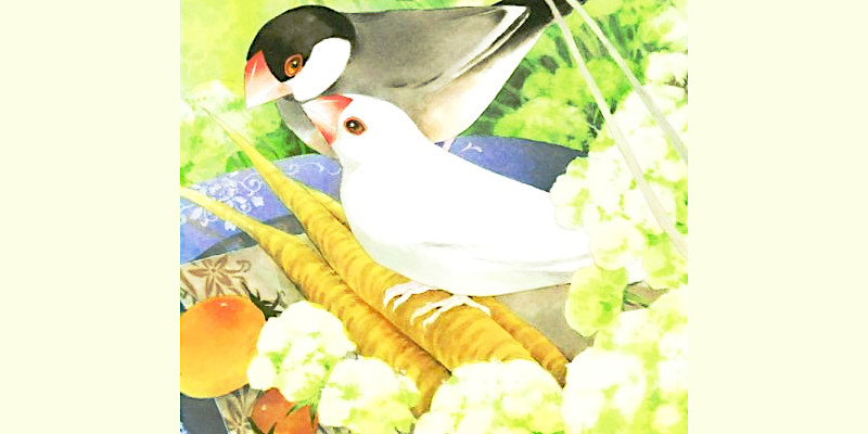 鳥を題材にしたマンガ/漫画(32作品)巻数ランキングのご紹介
