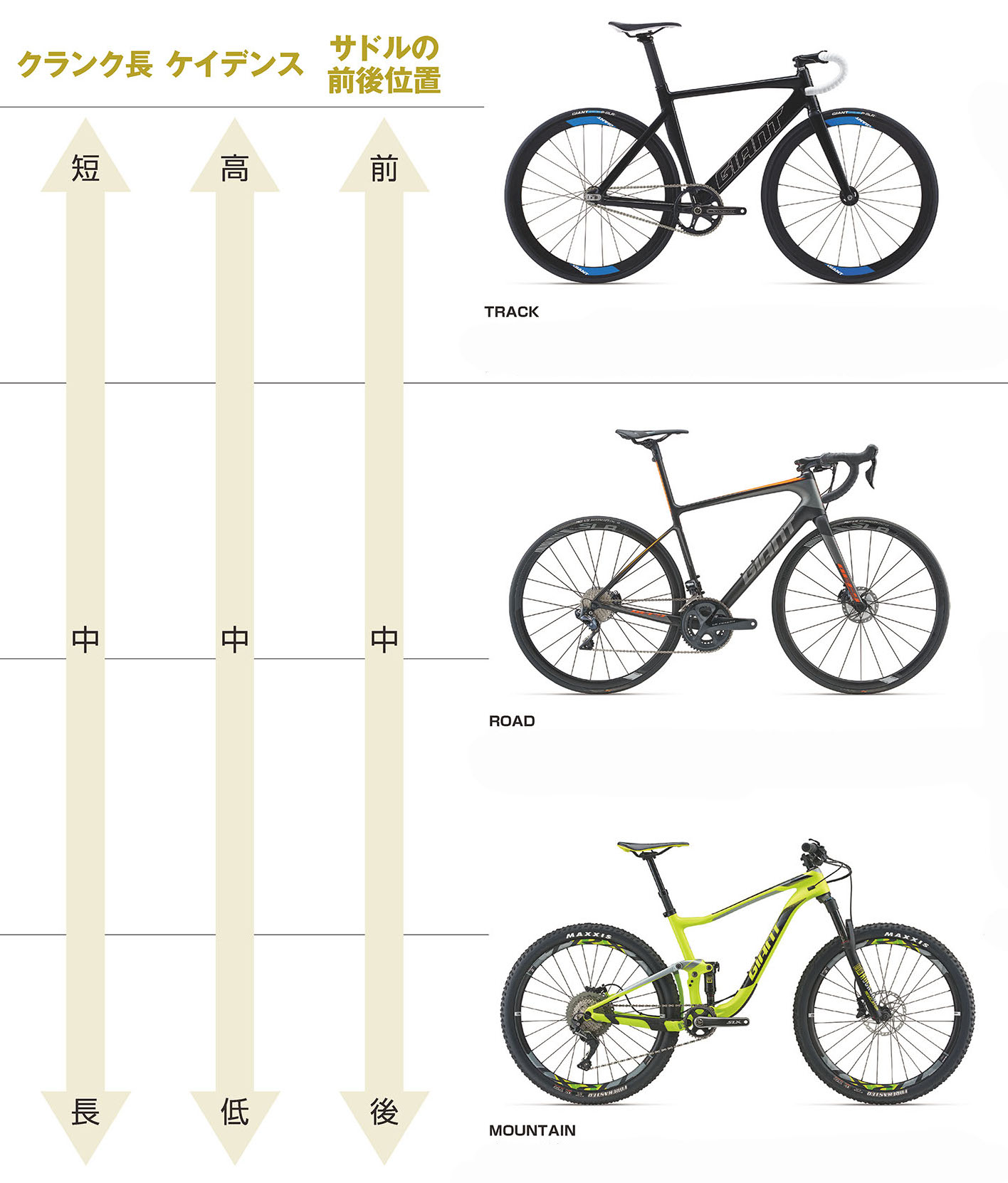 目的別自転車のクランク長比較をご紹介します。