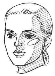 人の場合、頬(◯の部分)の存在が立体を表わすためには重要なポイントになります。