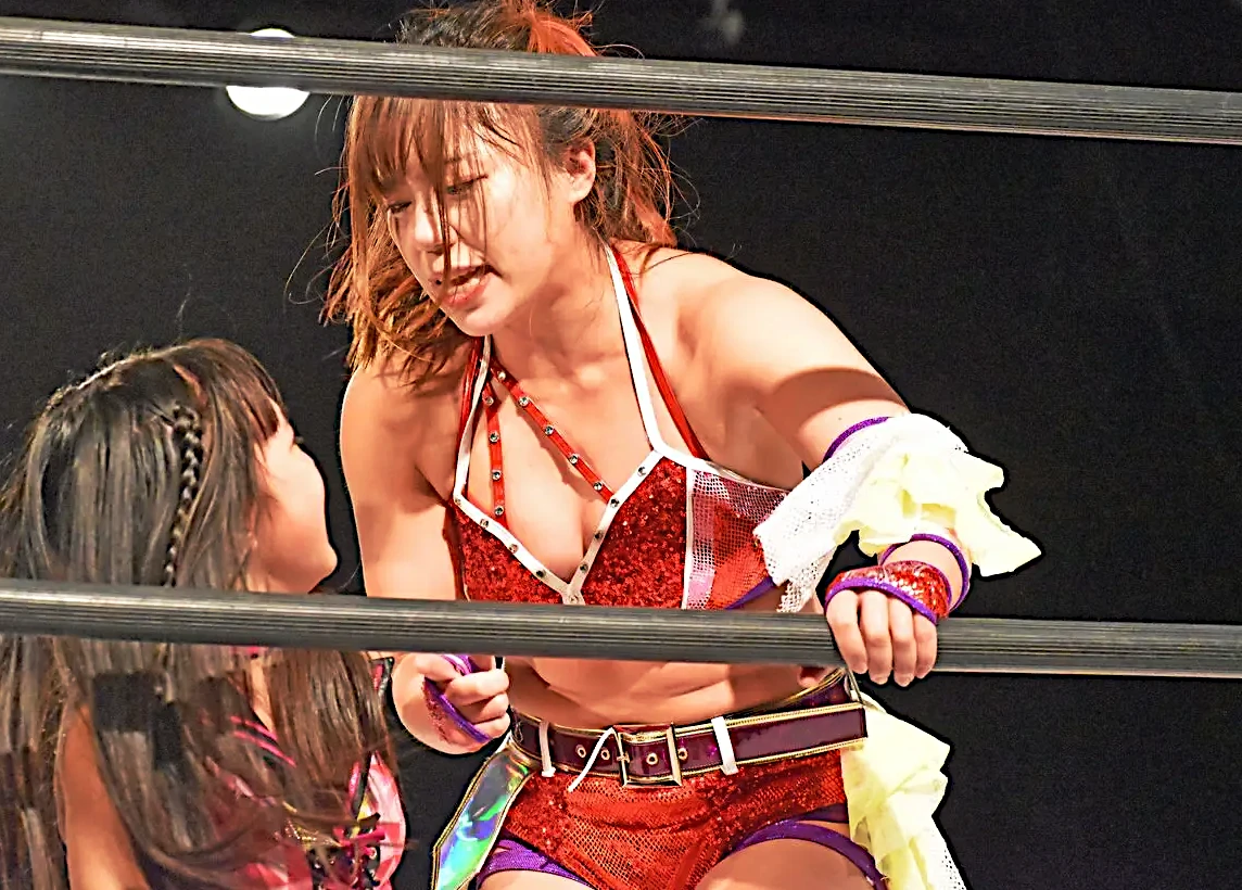  ワールド女子プロレス・ディアナ（DIANA）とは