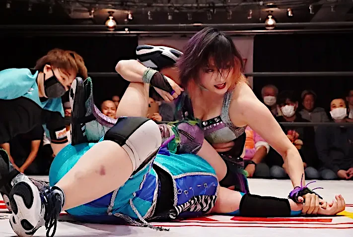 女子プロレス団体「PURE-J女子プロレス」とは