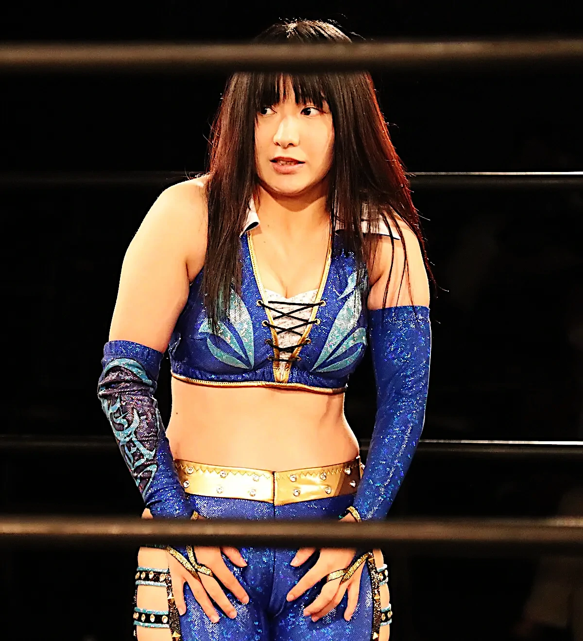  WAVEクリスマス大会‐プロレスリングWAVEが毎年12月に開催する年末恒例の“笑いと熱戦の祭典”