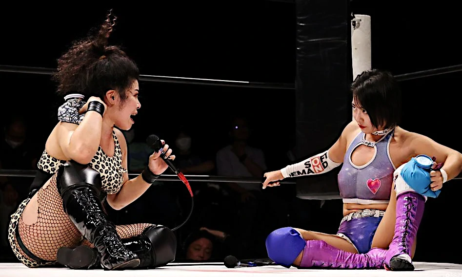  関東の主な女子プロレス会場一覧