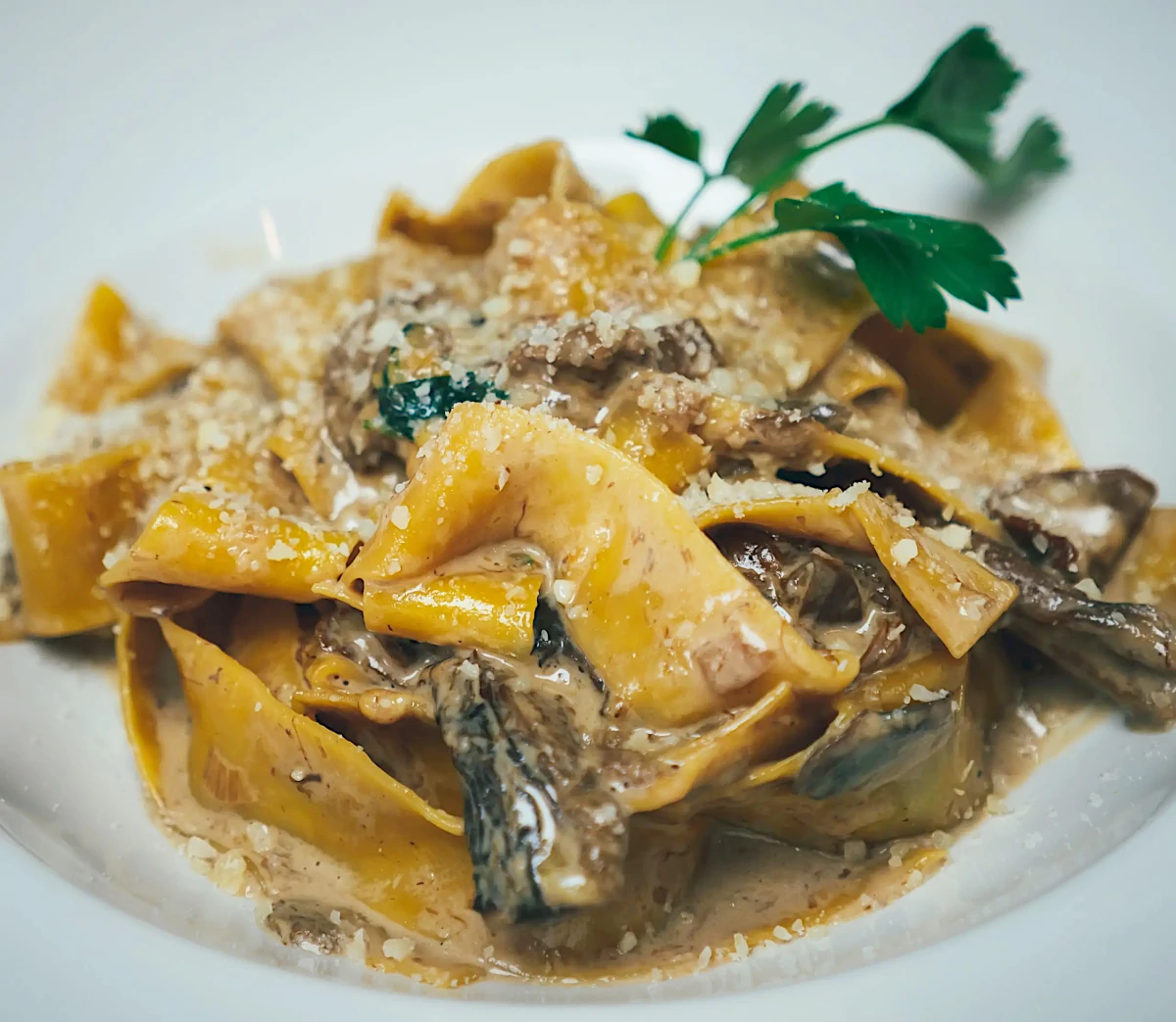 パスタの地域性と形状の関係‐土地の小麦と気候、そして食卓に集う人々の暮らし方を映している