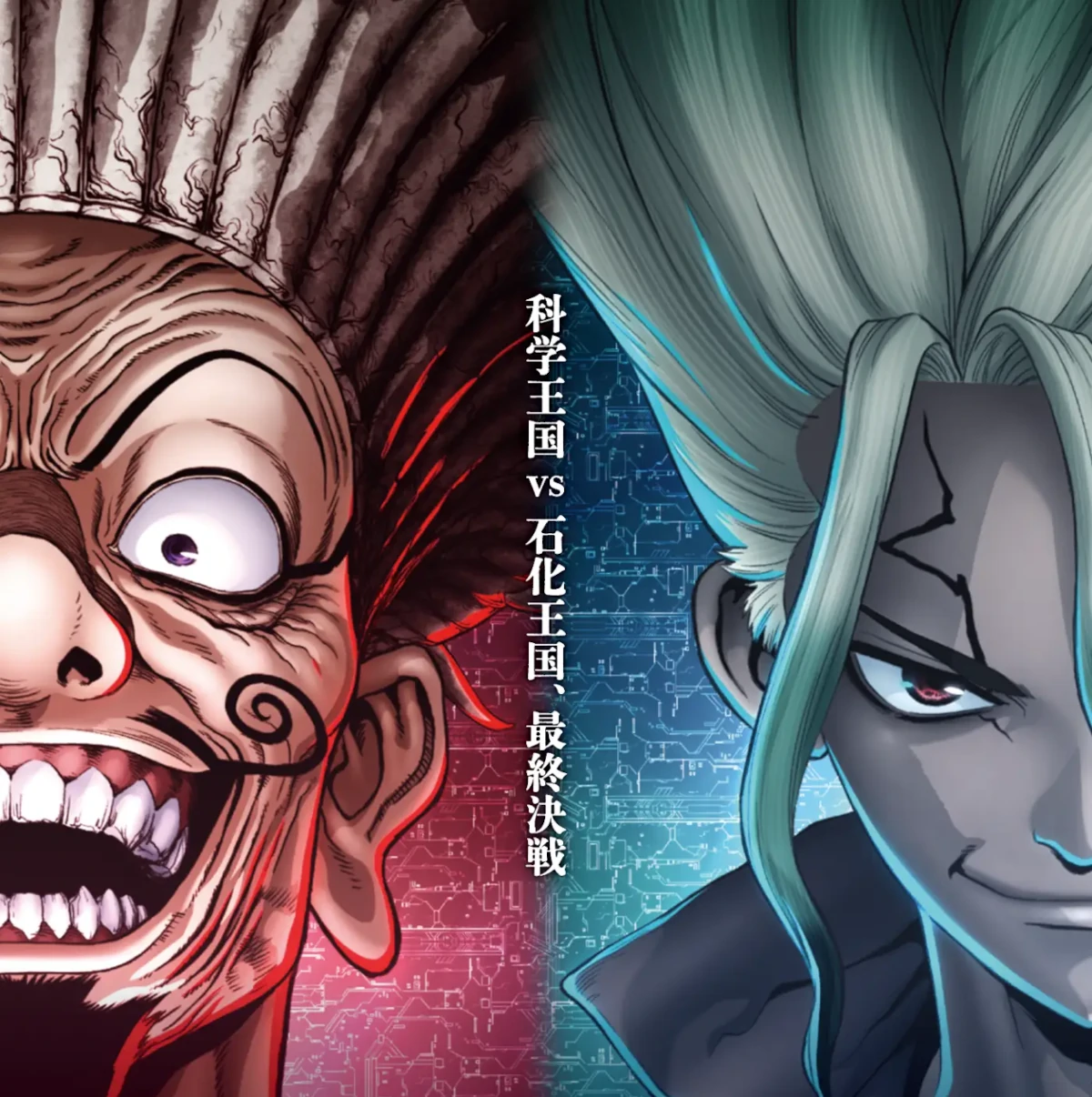 塩素系漂白剤 vs 酸素系漂白剤 比較表