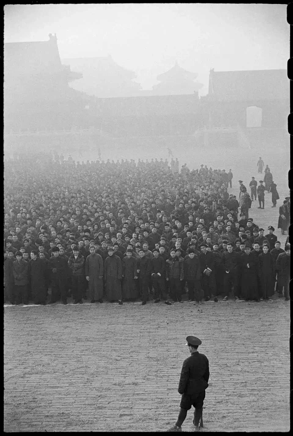 アンリ・カルティエ＝ブレッソン（Henri Cartier-Bresson）が生涯使用した主なフィルム（Film）