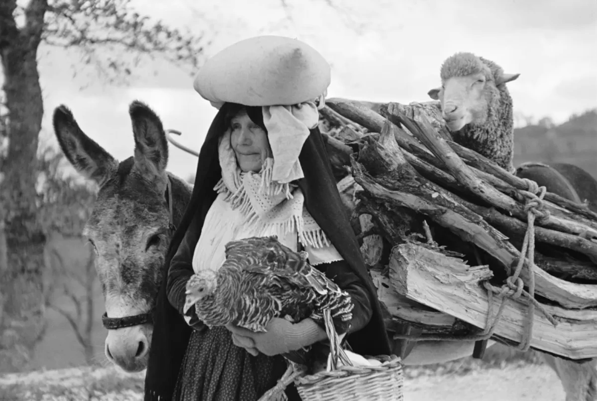 Pierre Gassmann（ピエール・ガスマン, 1913–2004）‐フランス現代写真のプリント文化を築いた伝説的な人物