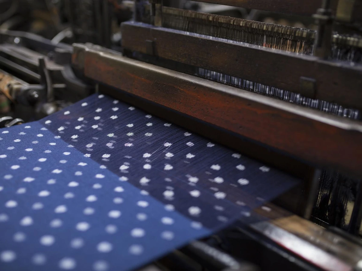 苧麻（ちょま／からむし）― 日本最古級の繊維が紡いだ歴史