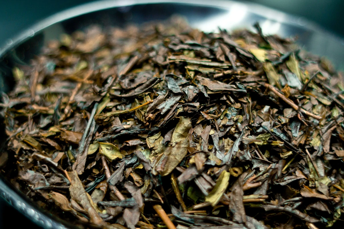 江戸時代の番茶 ― 毎日を支えた茶褐色の一杯