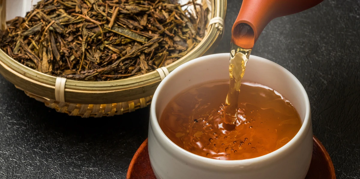 蒸し・揉みの工程の進化 ― 茶を「煮る」から「淹れる」へ変えた技術