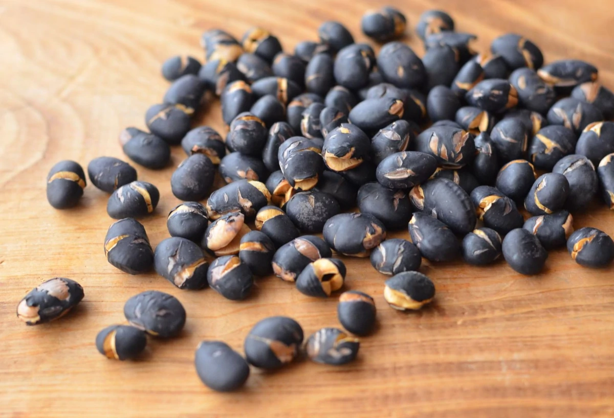 黒豆茶 ― 穀物と豆のあいだで育った滋養の一杯