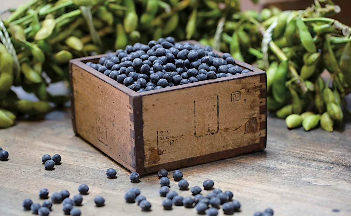 直火焙煎・黒豆茶とは ― 火に直接触れて生まれる香り