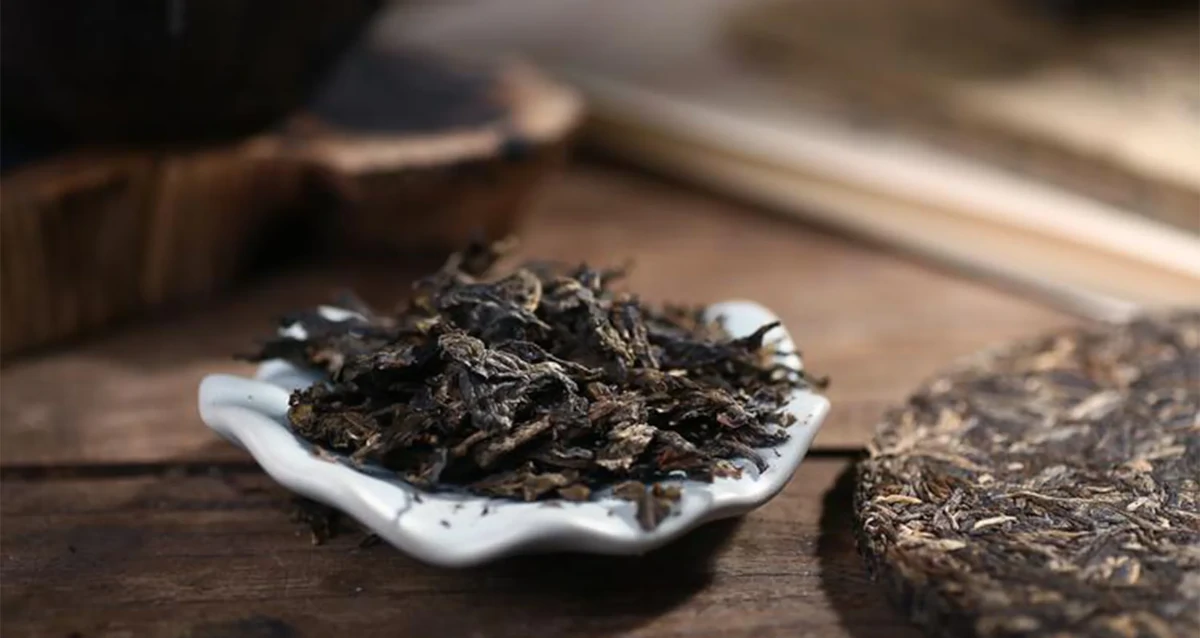 後発酵茶 ― 時間と微生物が仕上げる茶